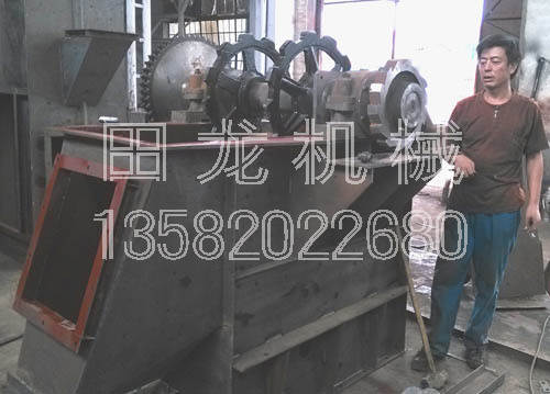 NE板鏈提升機(jī)